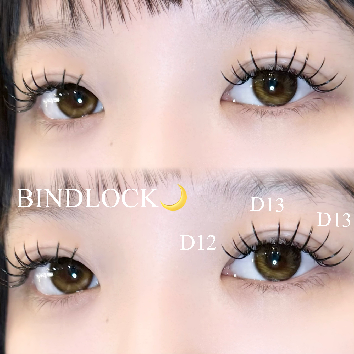 バインドロック60束