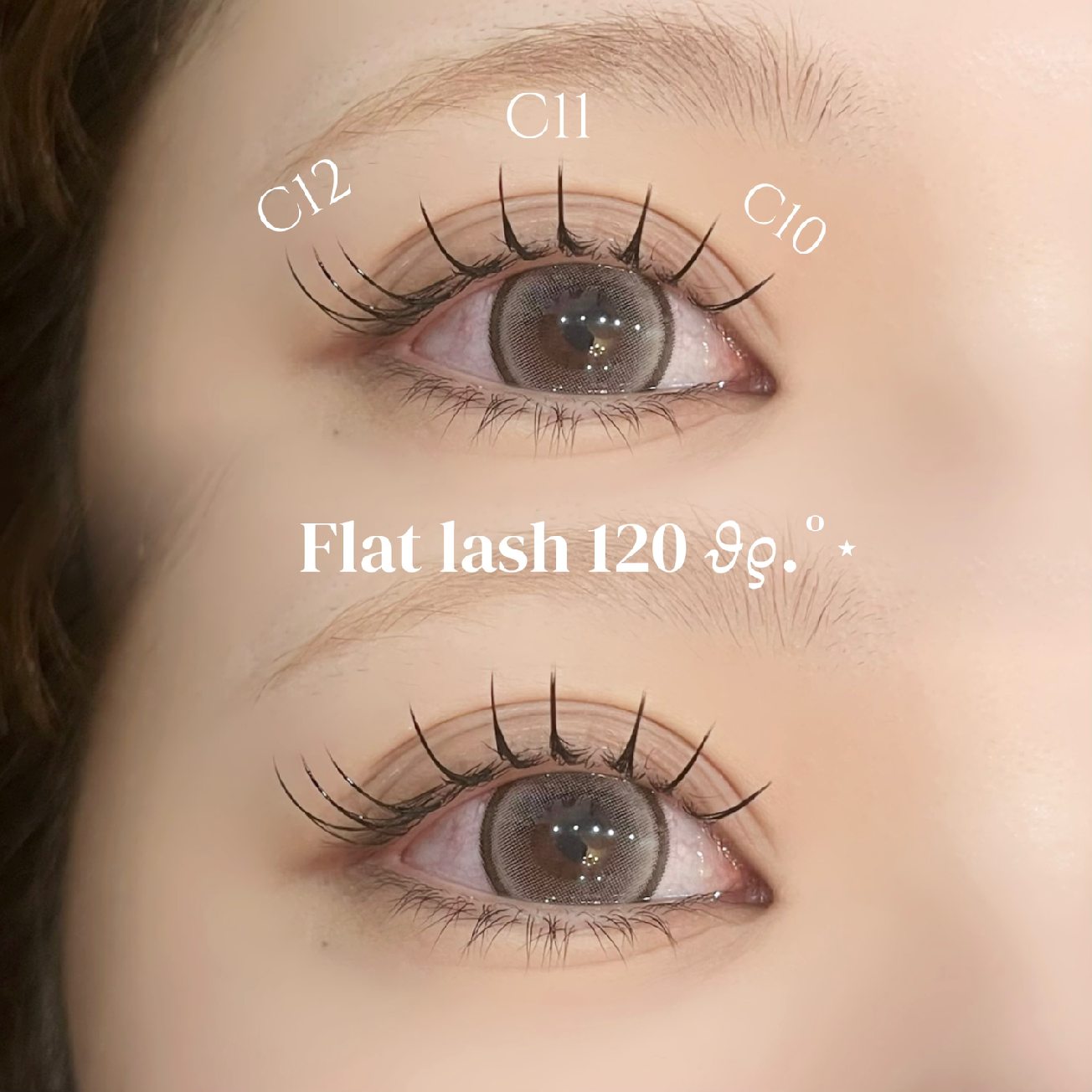 【フラットラッシュ120本🎀】(オフ＋¥550)