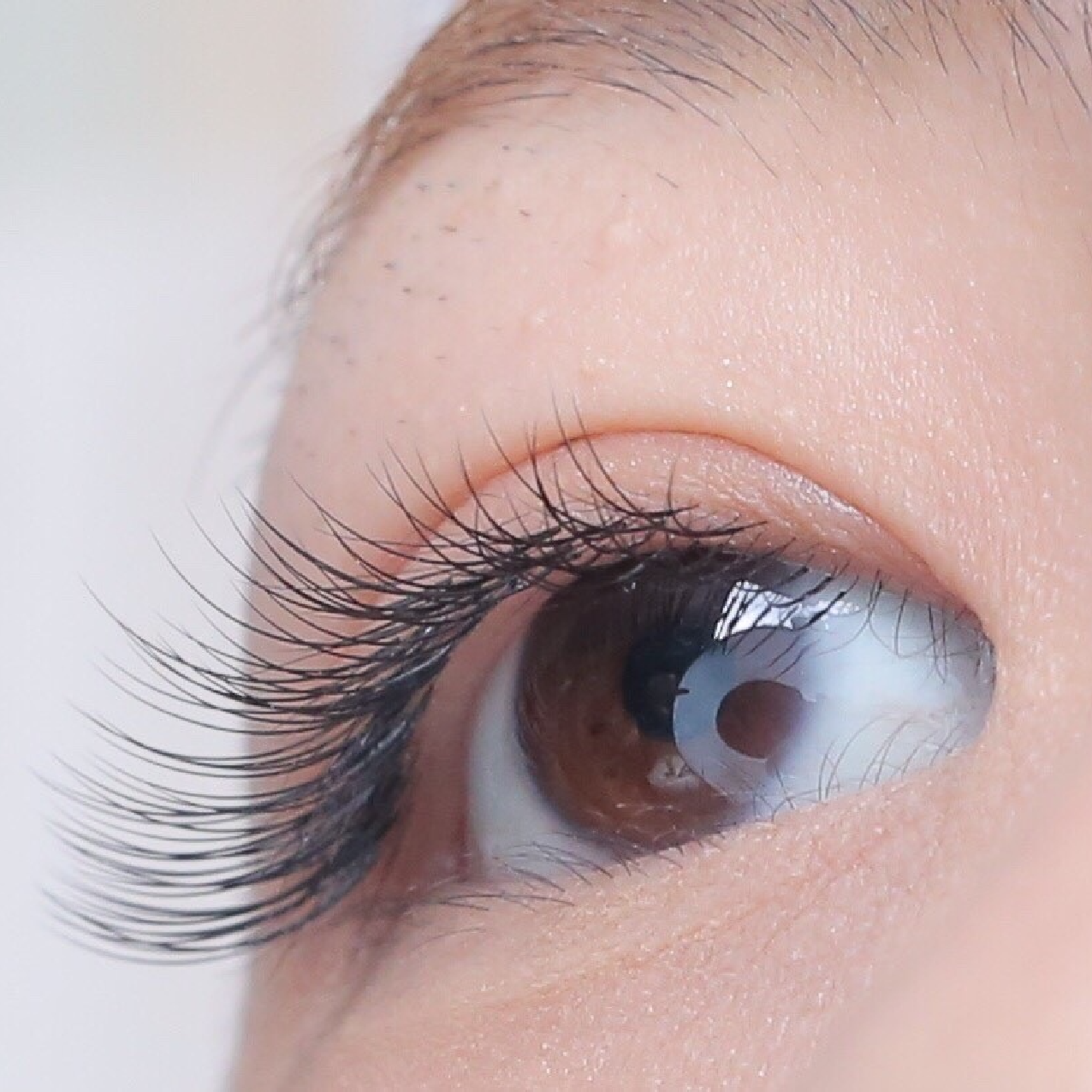 今話題『パリエク』※PARISIENNE & FLAT LASH（120本）