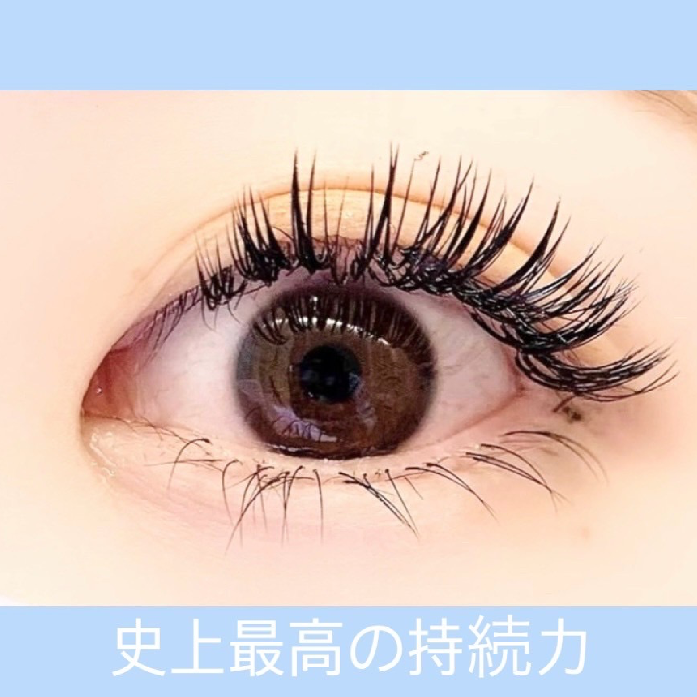 オフ無料【持続性No１バインドロック】120束/シングルラッシュ130～160本