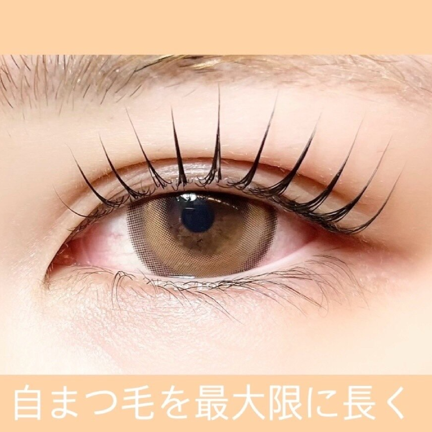 迷ったらコレ【パリジェンヌラッシュリフト】/2回目以降はこちら