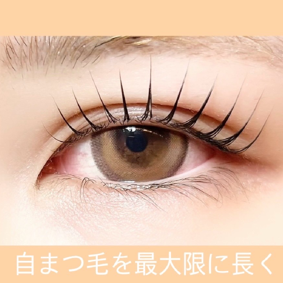 迷ったらコレ【パリジェンヌラッシュリフト】/2回目以降はこちら