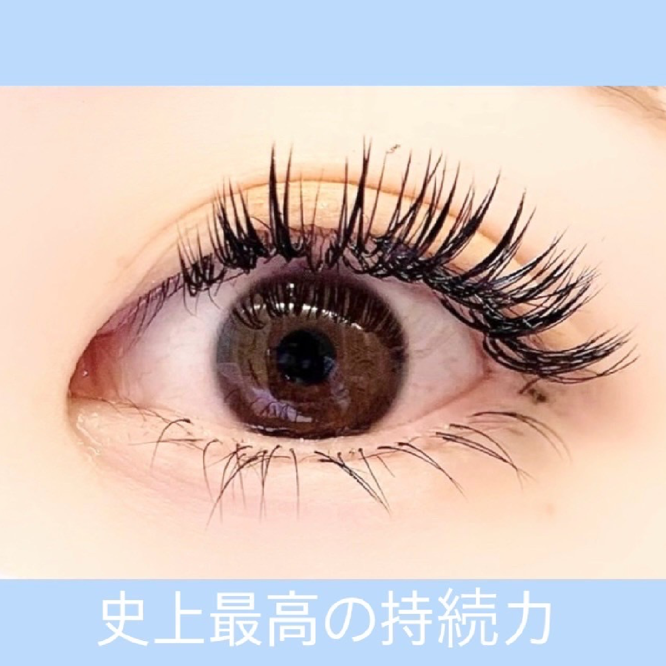 オフ無料【持続性No.1バインドロック】80束/シングルラッシュ100~120本