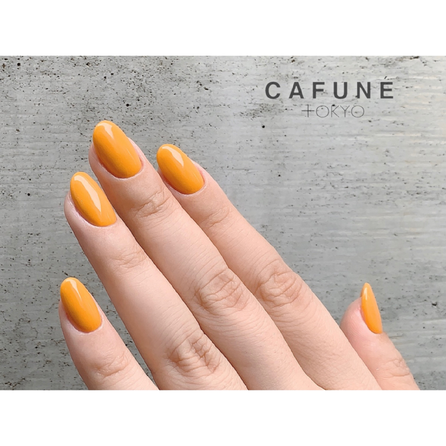 【gel】one color