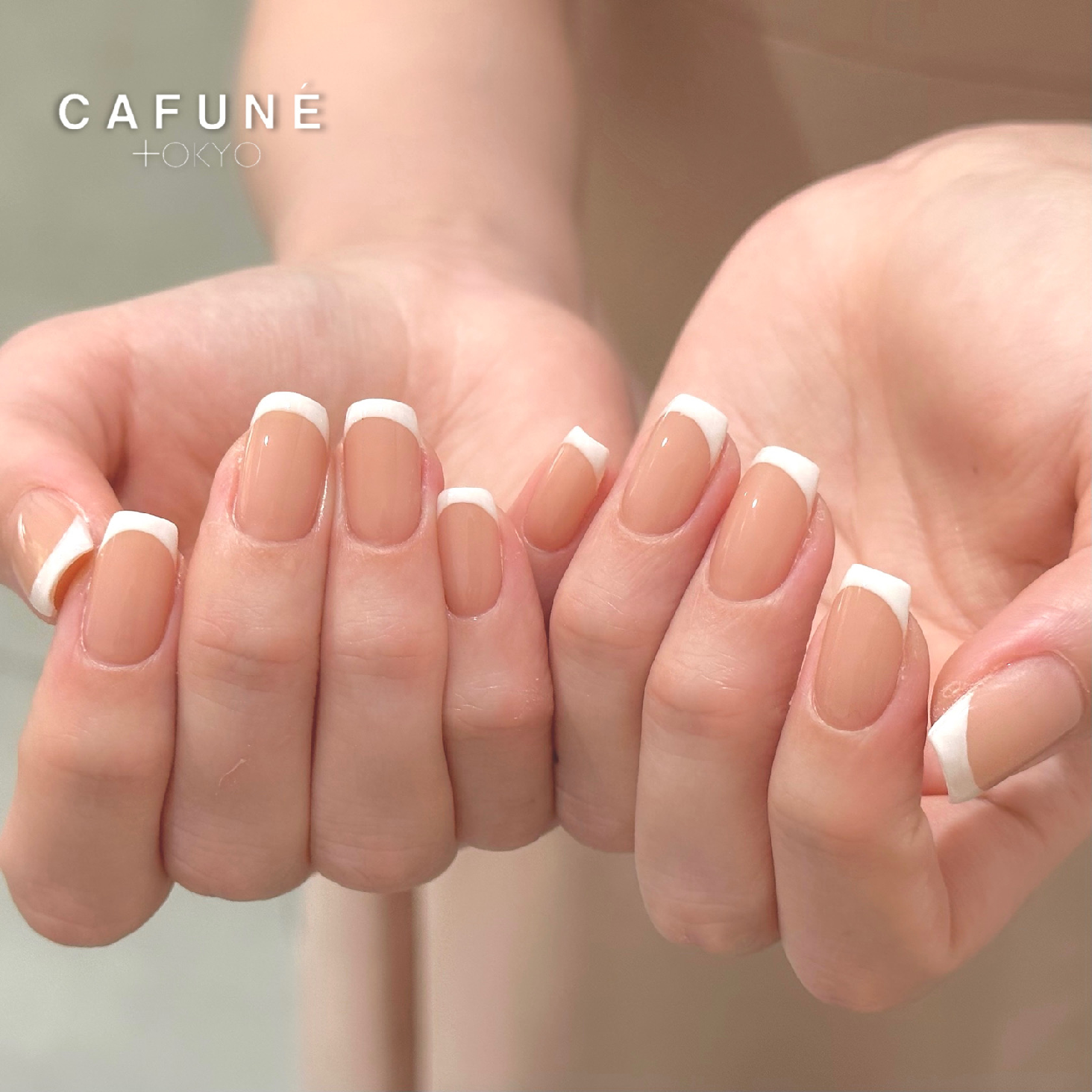 ご新規様限定【gel】french／gradation