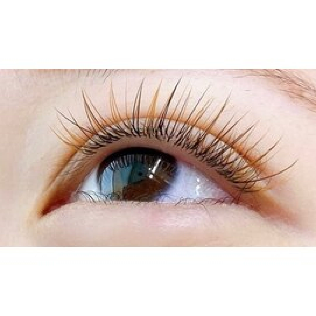 【オフ無料】オールカラー上60分コース　￥6,500　（120本）
