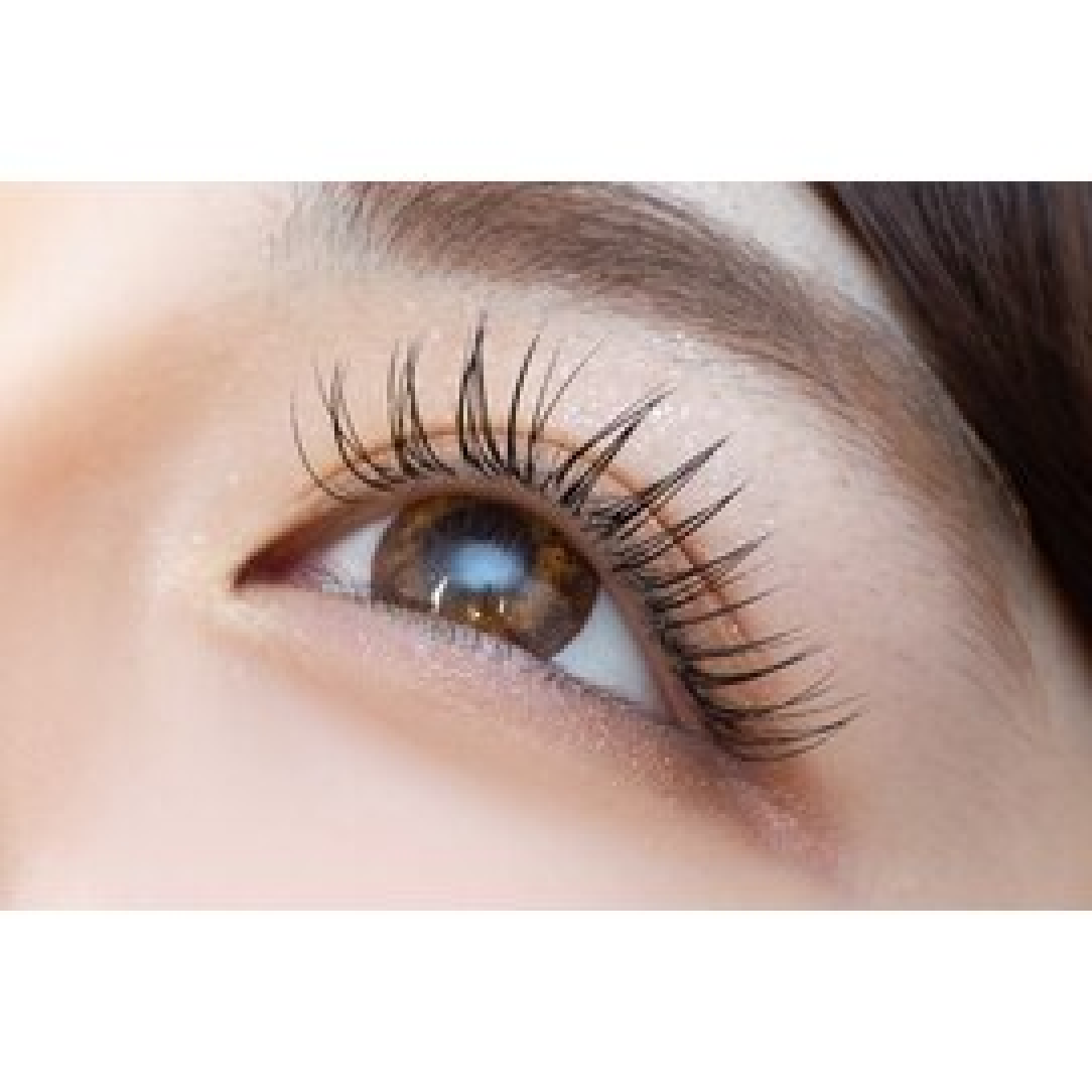 【オフ無料】最軽量フラットラッシュ120本　5,500円