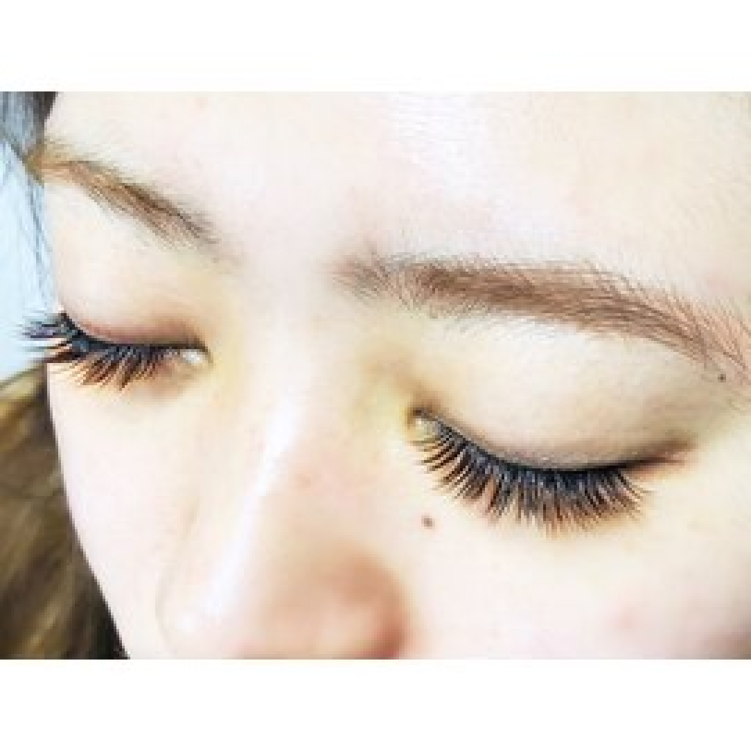 圧倒的な可愛さ＆持続力★【ブラウン】バインドロック　100束