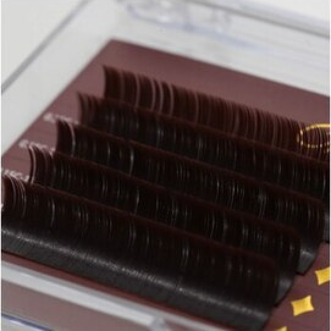 〈新登場〉フラットラッシュブラウン〈透明感×ナチュラル〉130本　￥6,500