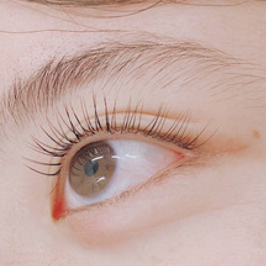 【7/24まで】ミンク・セーブルエクステ100-130本目安★無料練習モデル