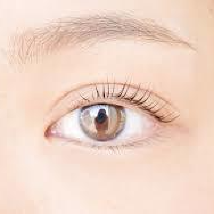 【まつげパーマ】EYE.ラッシュリフト(コーティング付) ￥6200