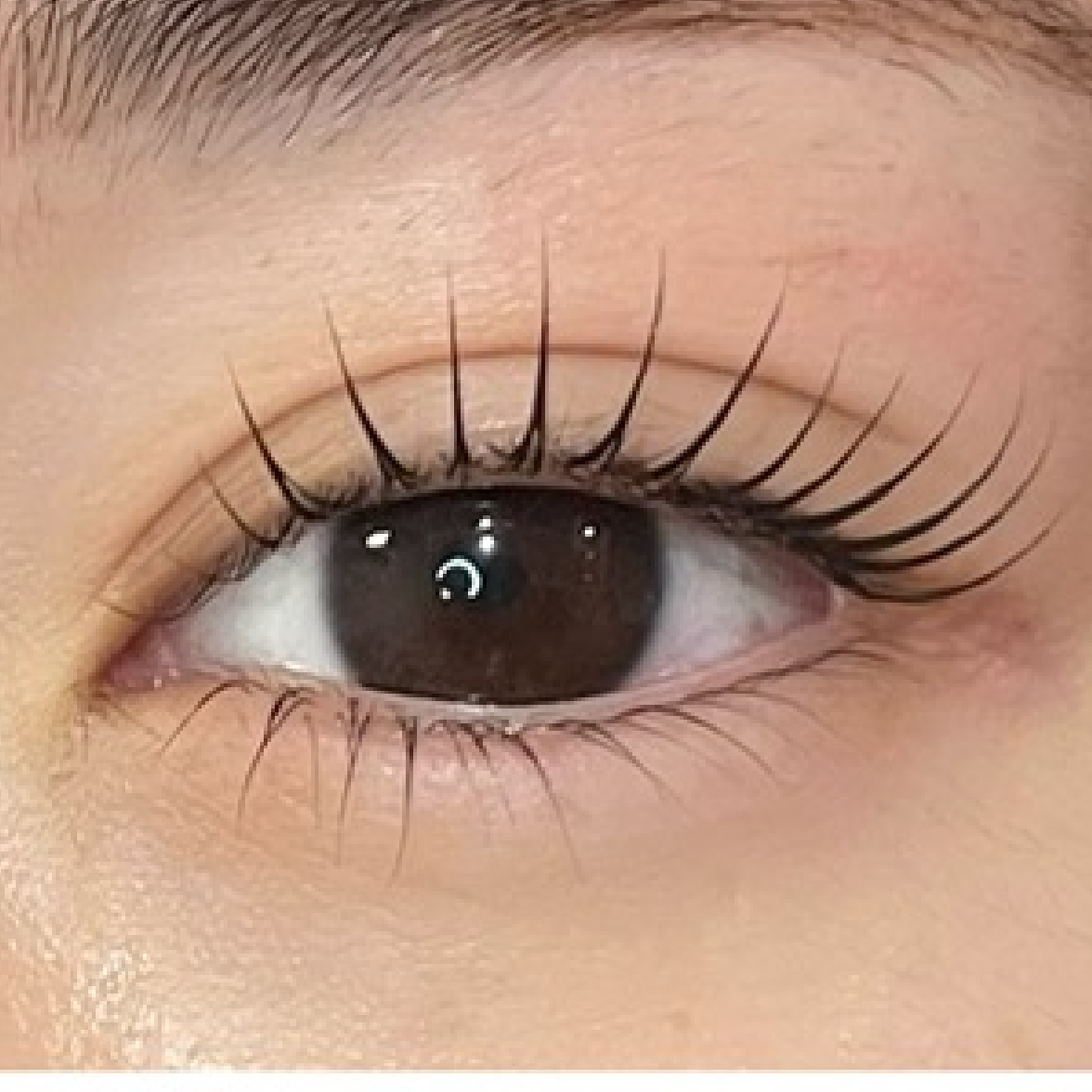【まつげパーマ ラッシュリフト】EYE.ラッシュリフト上下(まつ毛パーマ)