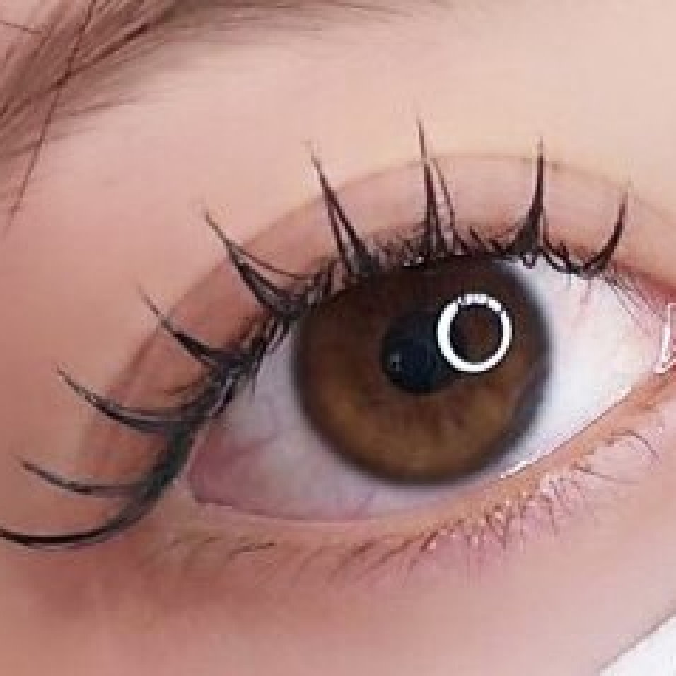 【フラットラッシュ】大人気★軽量フラットラッシュ120本/オフ込¥4480初回