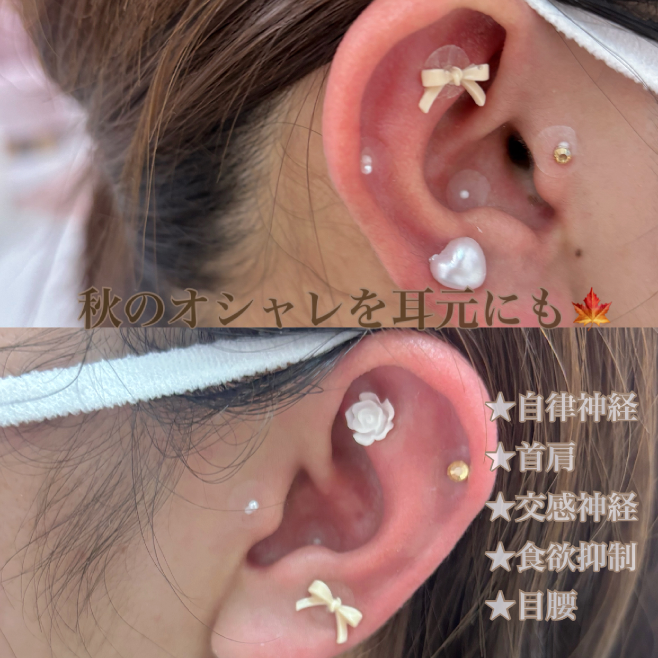 耳つぼJewelry10個