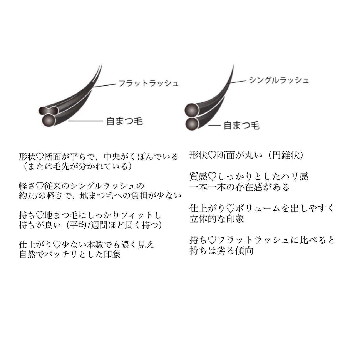 フラットラッシュ60本