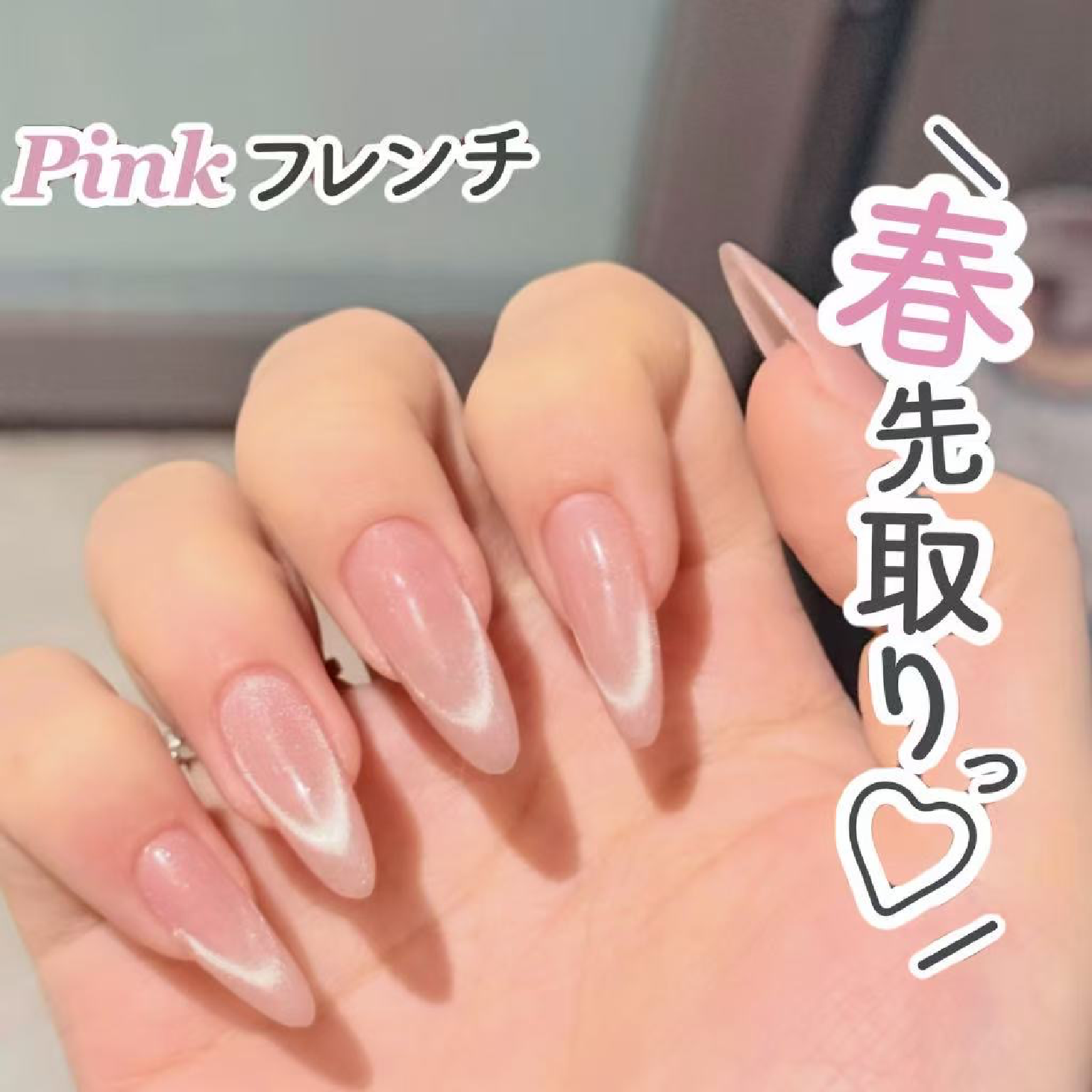 限定特典🌸✨マグネットフレンチ