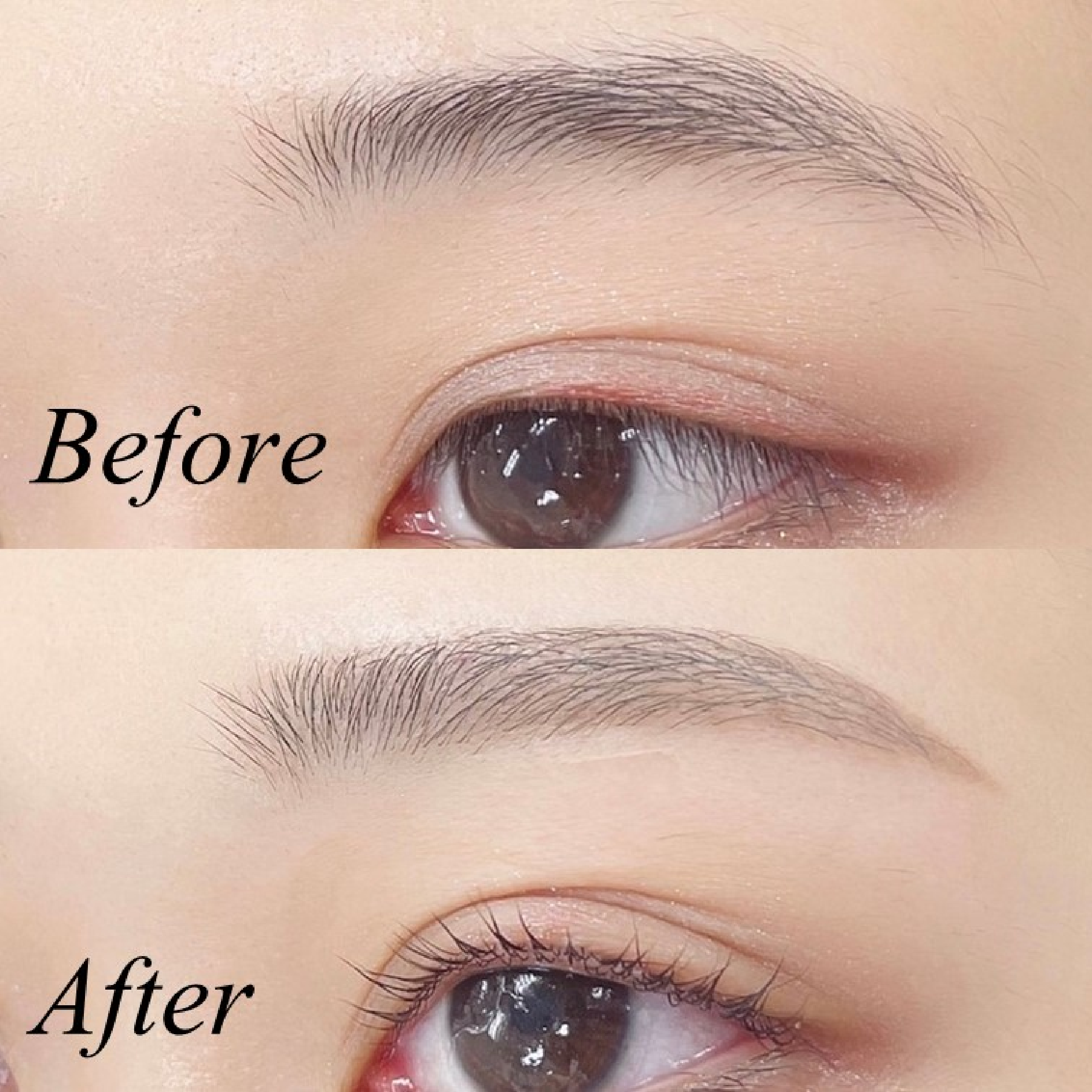 学割U24🎓《持続力⭐️眉毛パーマ》美眉アイブロウWAX＋ハリウッドブロウリフ