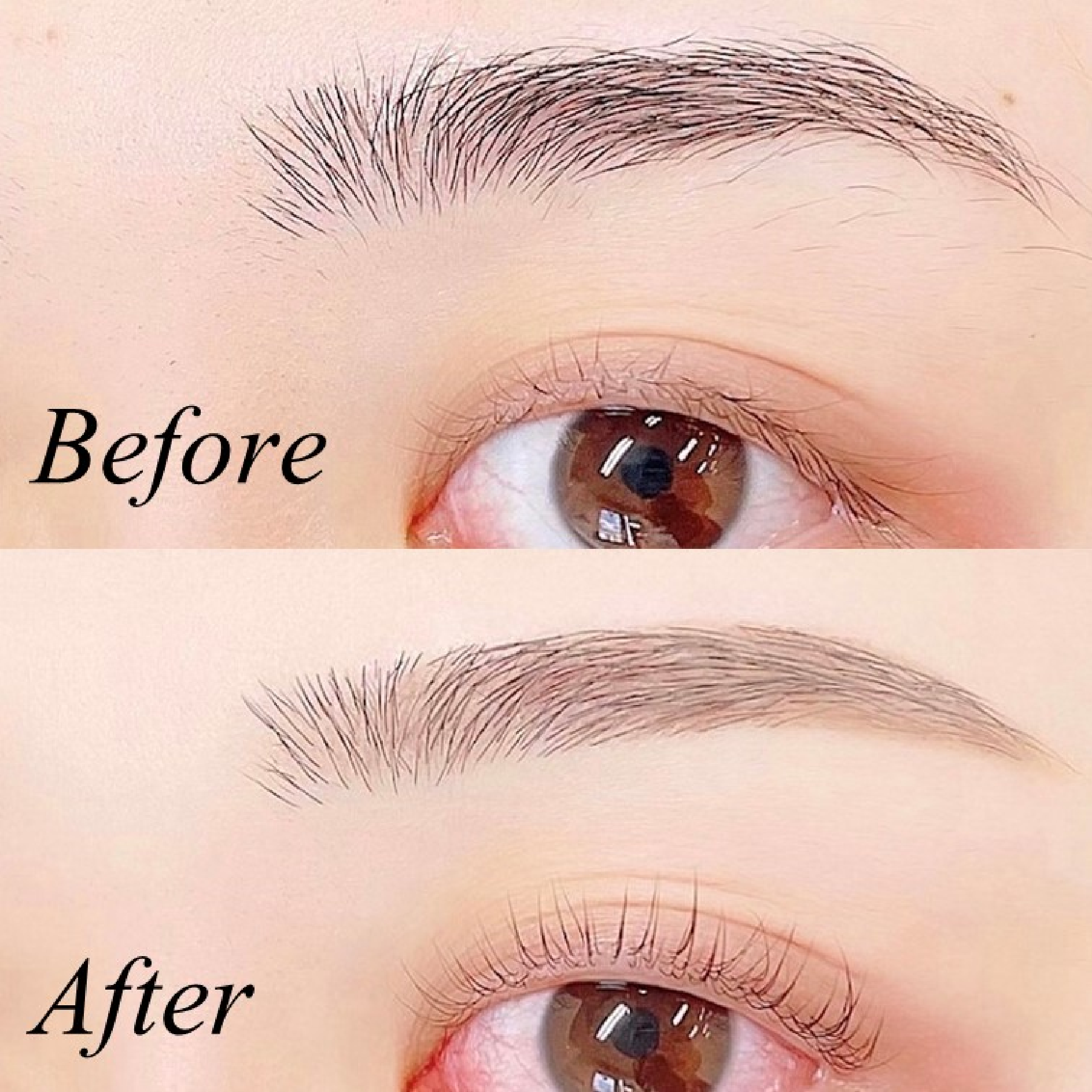 学割U24🎓《ナチュラル眉🌱》美眉アイブロウWAX＋間引き (メイク込)