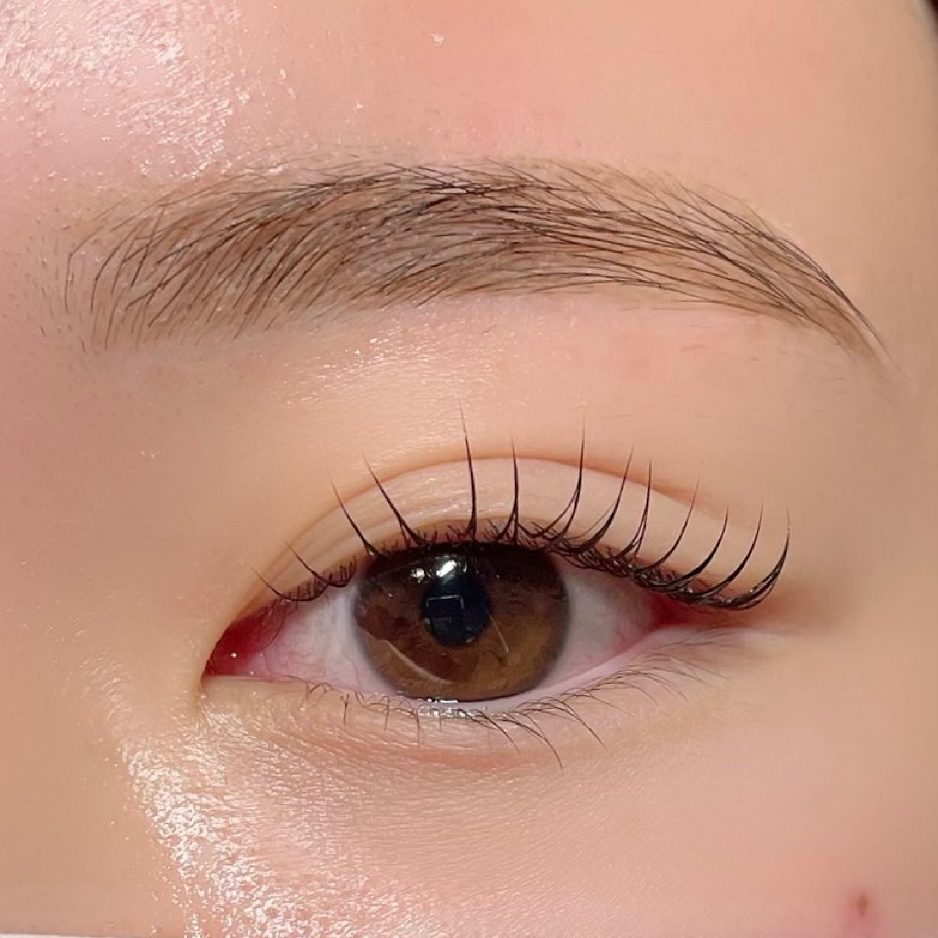アイブロウwax＋ダメージレスまつげパーマ セット