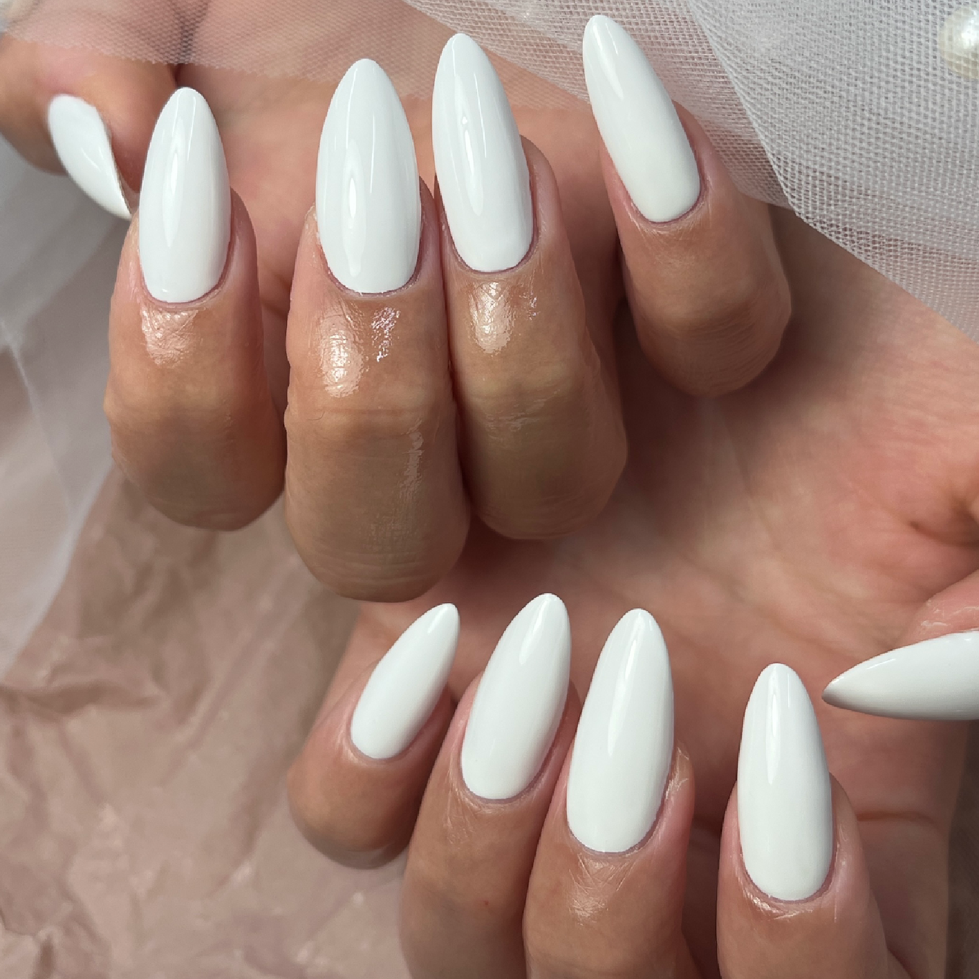 新規平日限定💫美フォルムワンカラー　3990