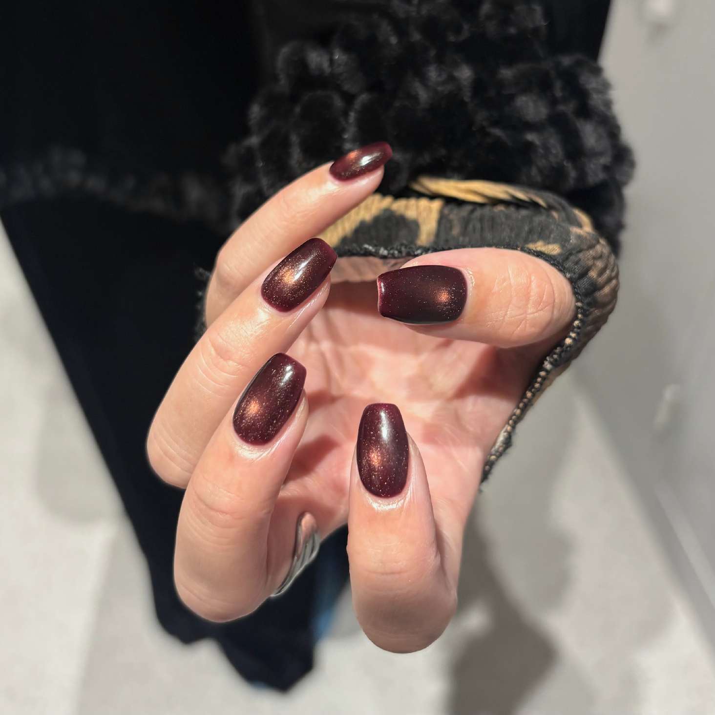 🩵7月平日限定🩵magnet one color ¥8,000→¥7,000