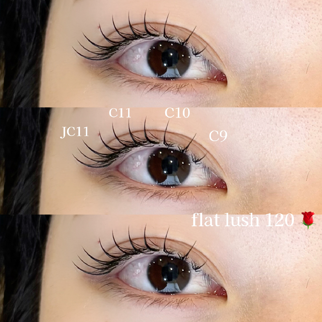 🌹フラットラッシュ120本/140本🌹