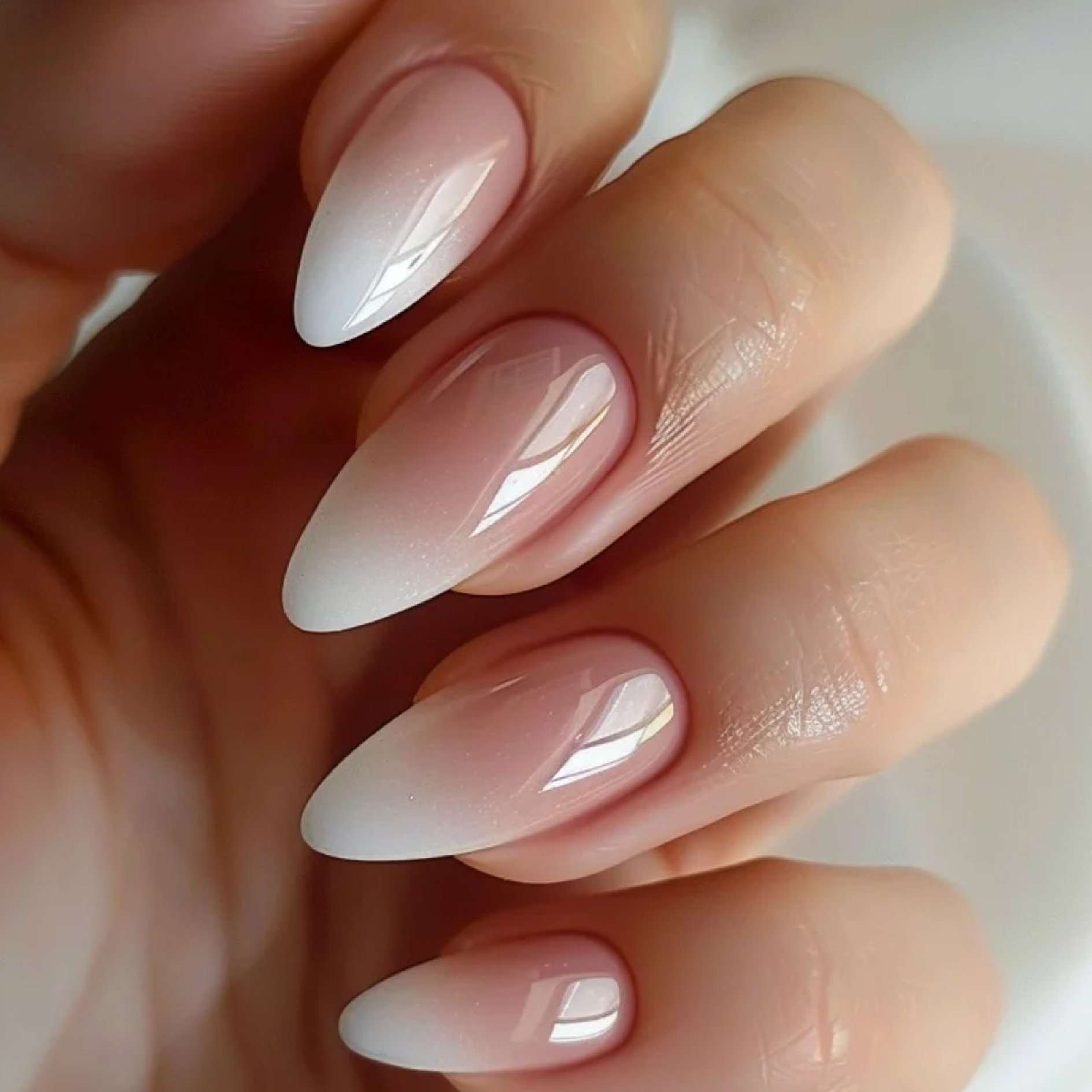 グラデーション（ベース有り）