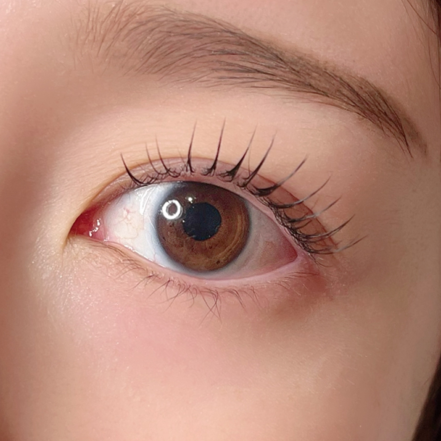【限定クーポン♪】束感まつげコーティング付き♡flat lash80本