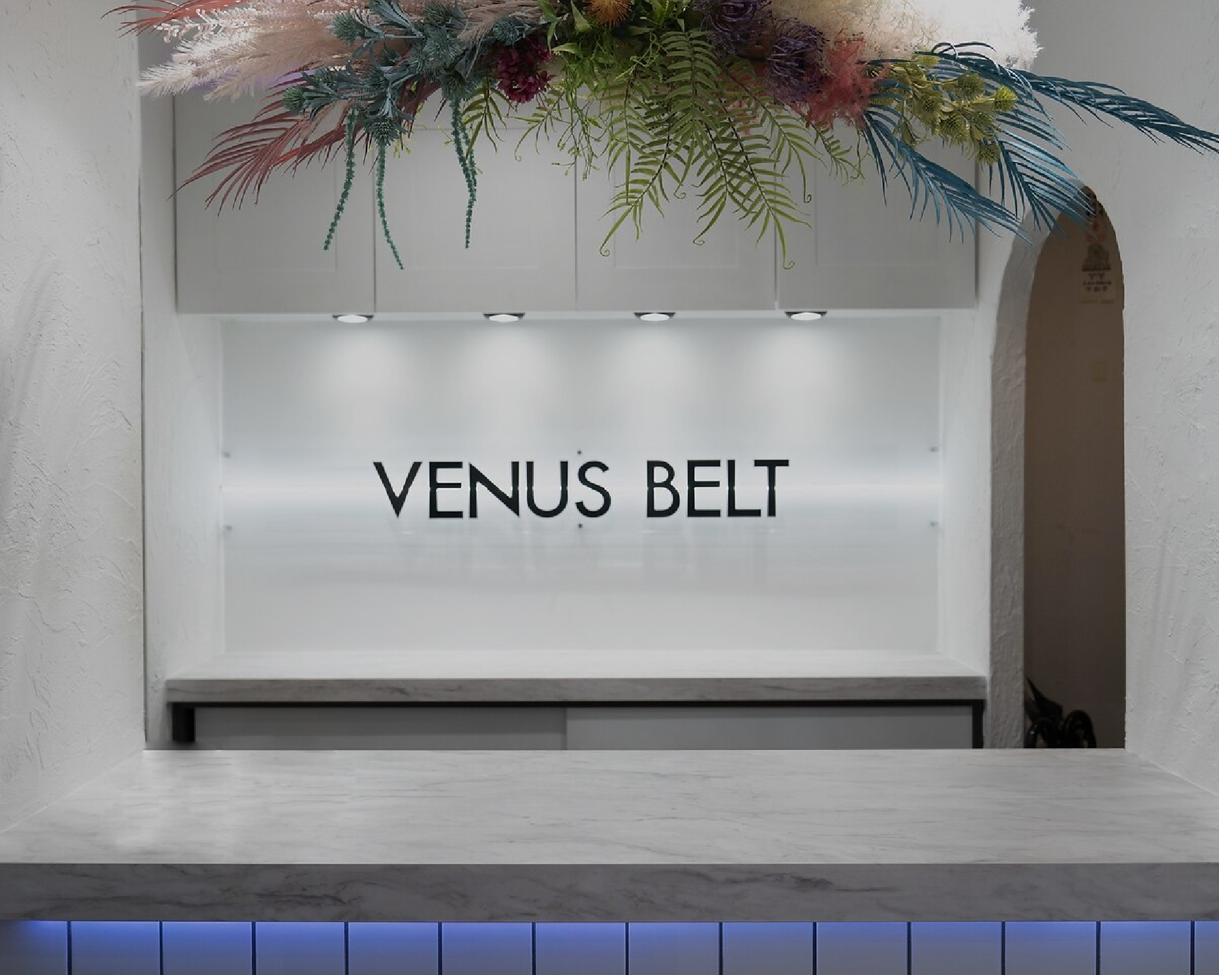 VENUS BELT SHIBUYA【ビーナスベルト】