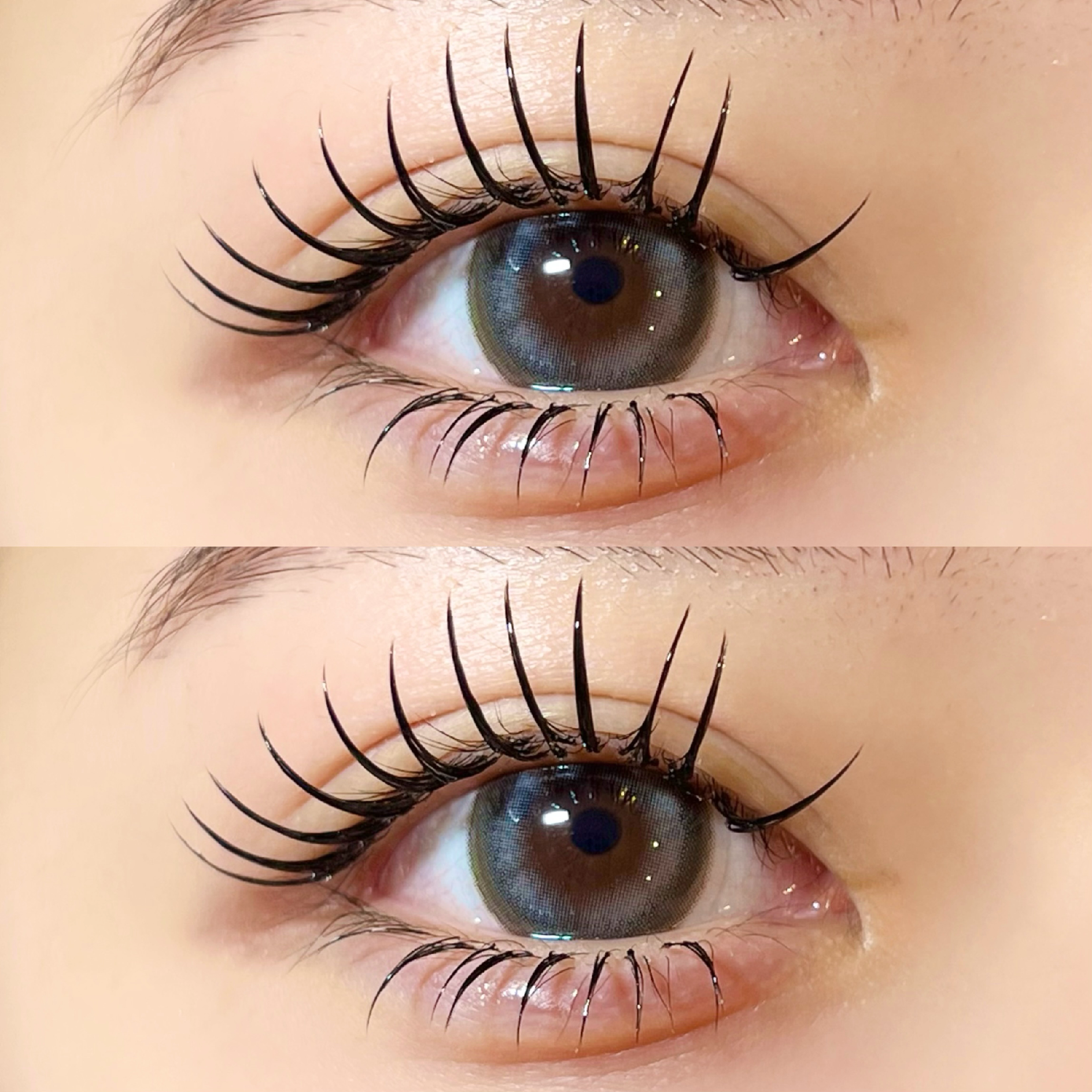 ダブルフラットラッシュ💖80～120束