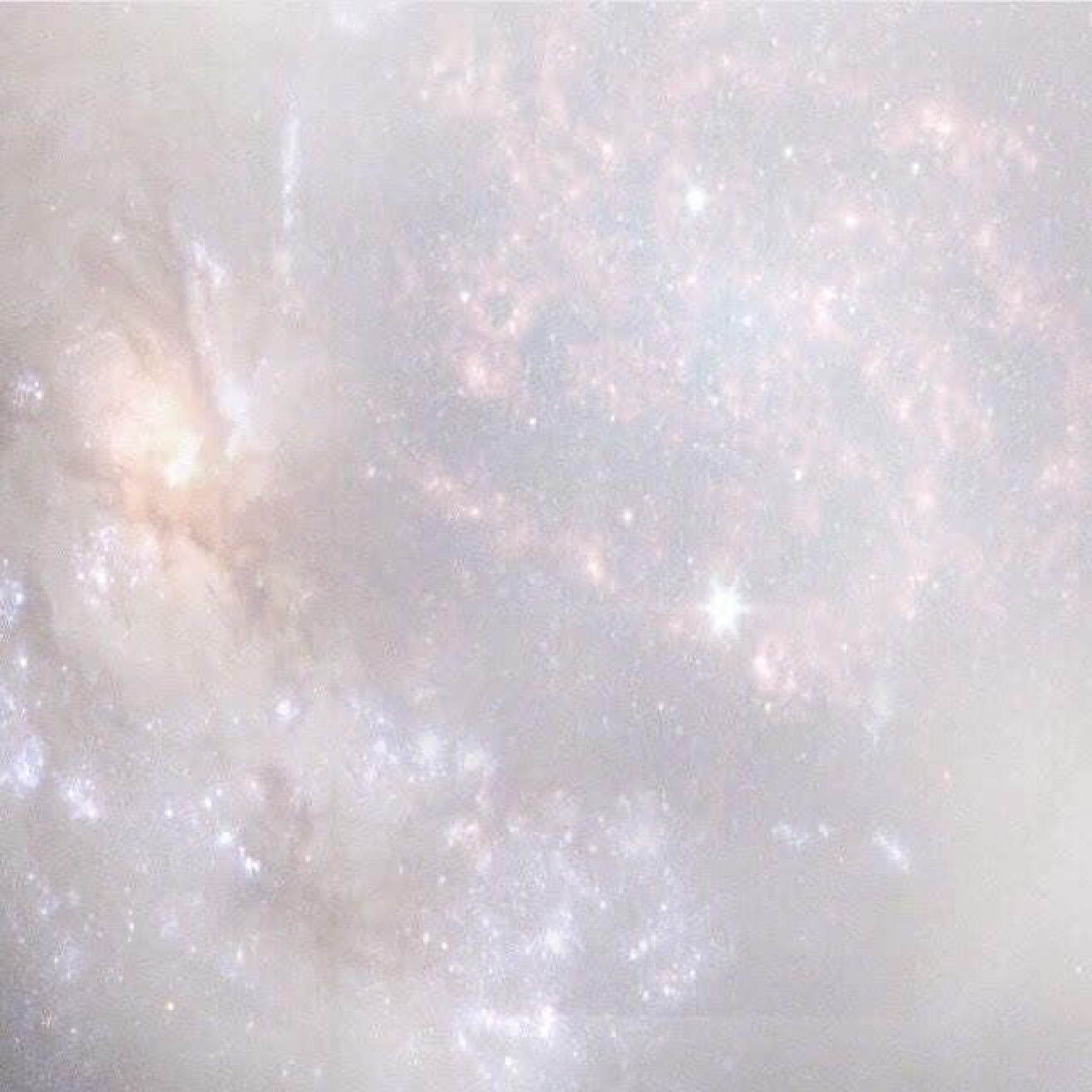 ♡リピーター様はこちら♡新規クーポンと合わせてご選択ください✨️