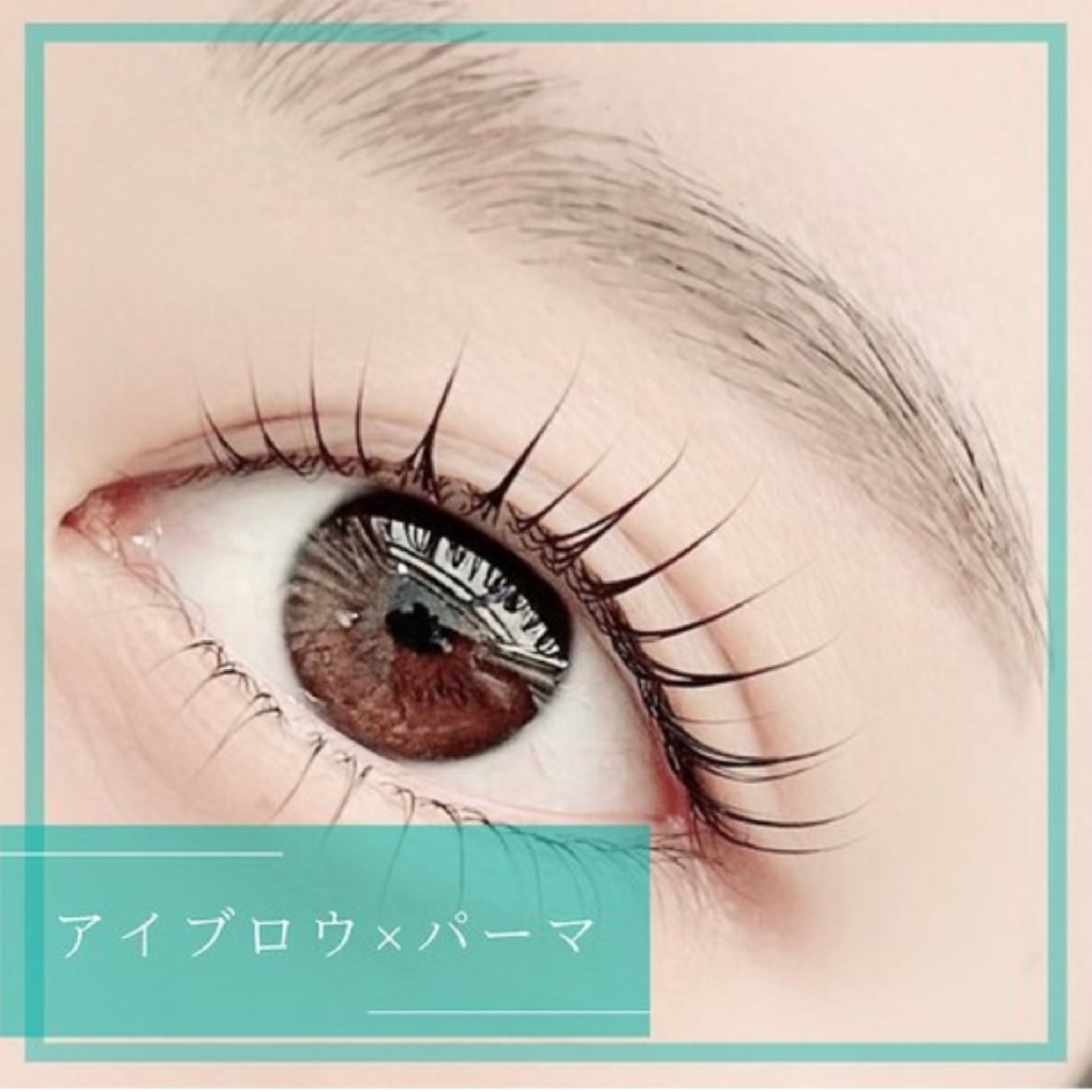 【SET割★マツパ美眉】似合わせまつ毛パーマ＋アイブロウwax¥9300