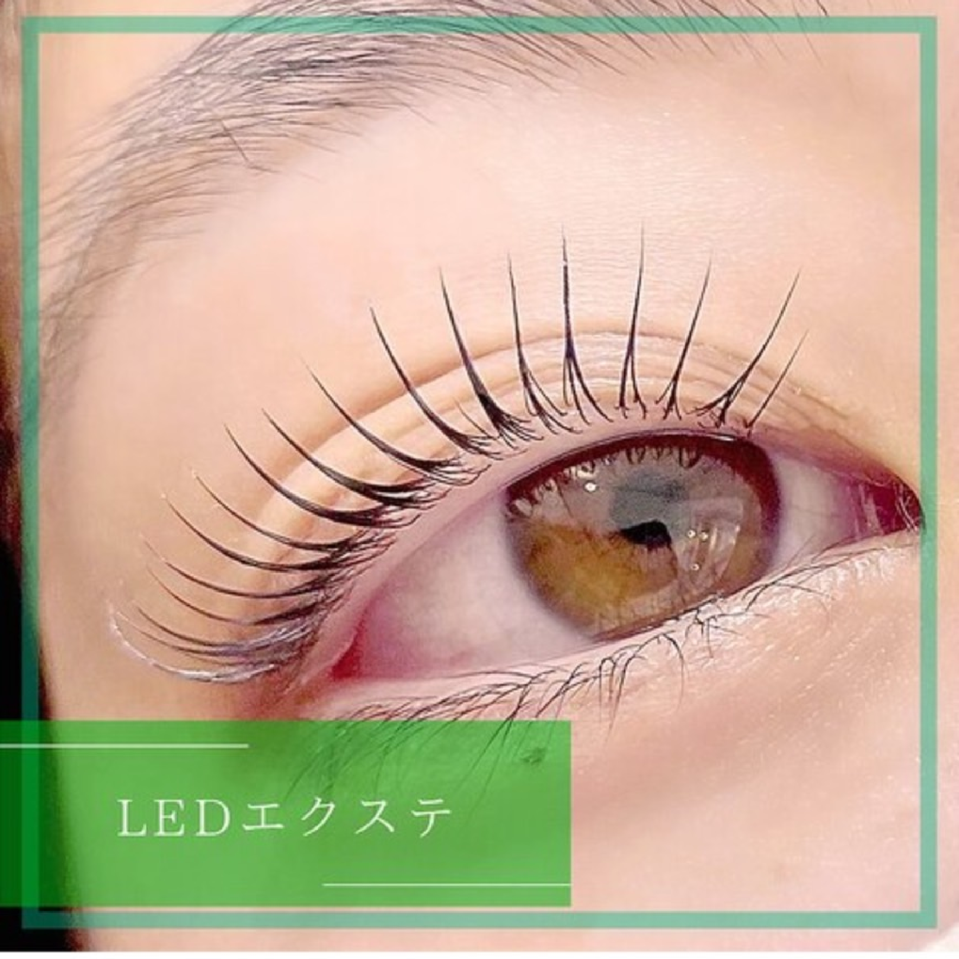 【高持続LED】初回オフ無料☆フラットラッシュ100本+コーティング付き