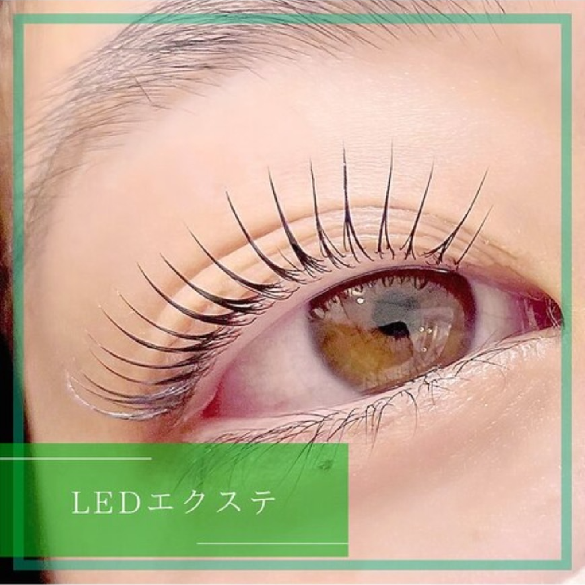 【高持続LEDエクステ】フラットラッシュ100本＋コーティング付き ¥6000