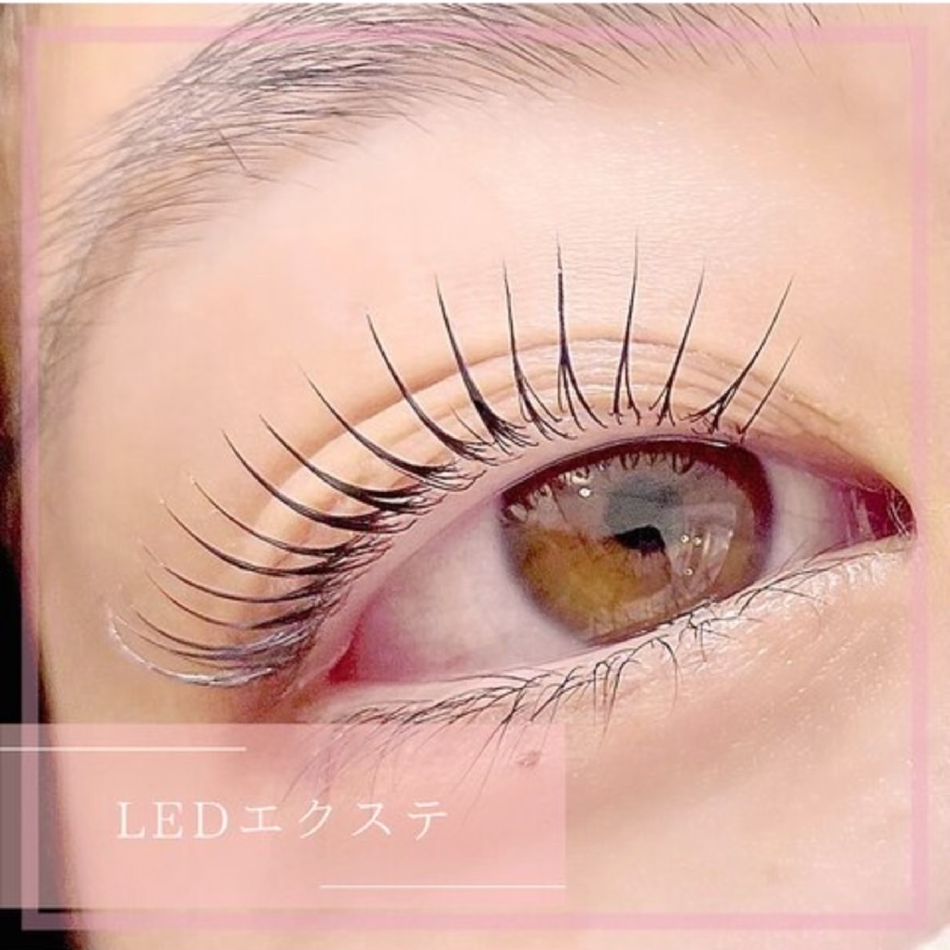 【高持続LED】フラットラッシュ80本＋コーティング付き ¥5000