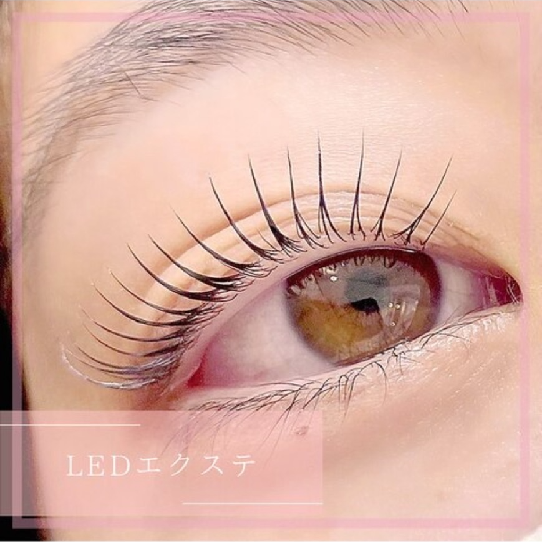 【高持続LED】フラットラッシュ100本＋コーティング付き ¥5500