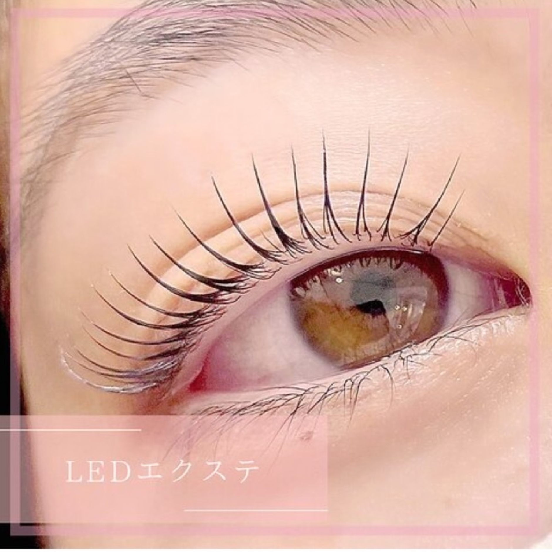 【高持続LED】フラットラッシュ120本＋コーティング付¥6000