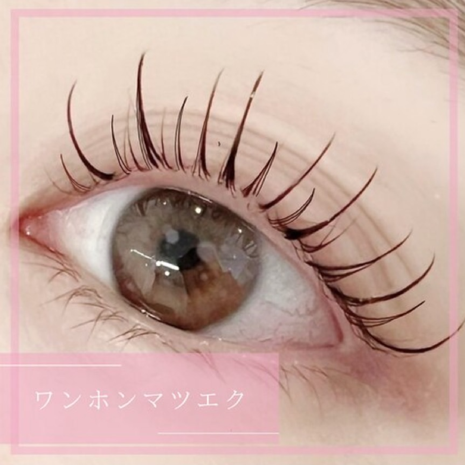 【高持続LED】束感ワンホンマツエク120本/コーティング付 ¥6500