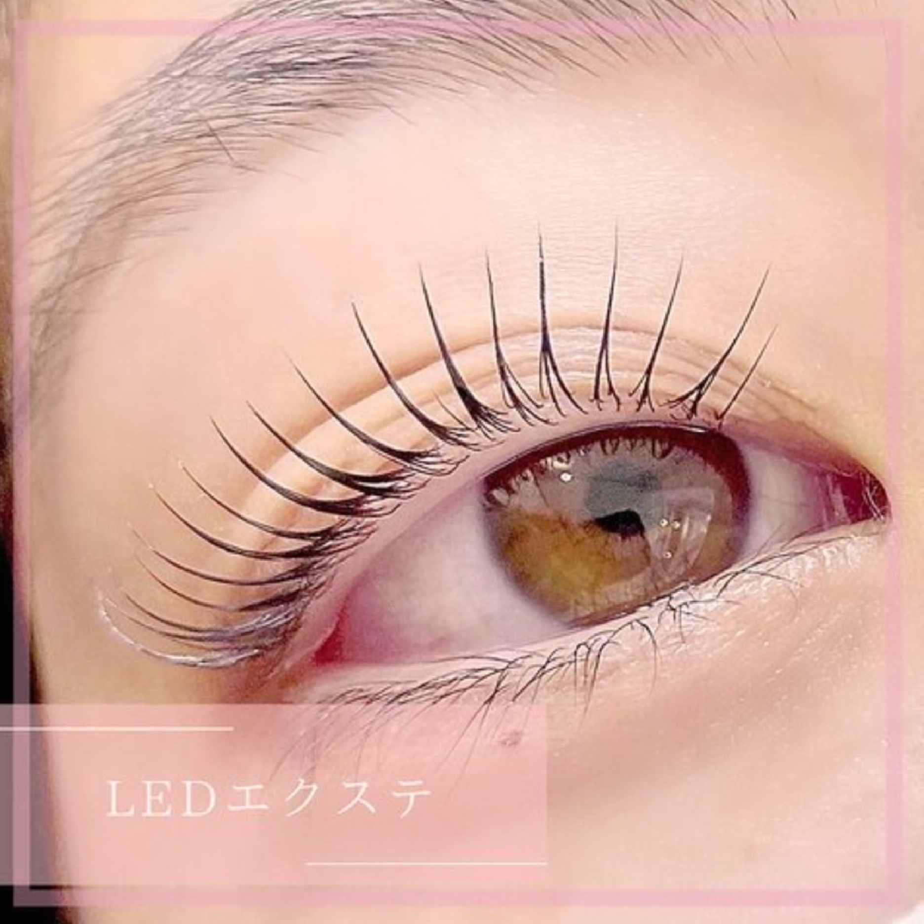 【高持続LED】フラットラッシュ80本＋コーティング付き ¥5500