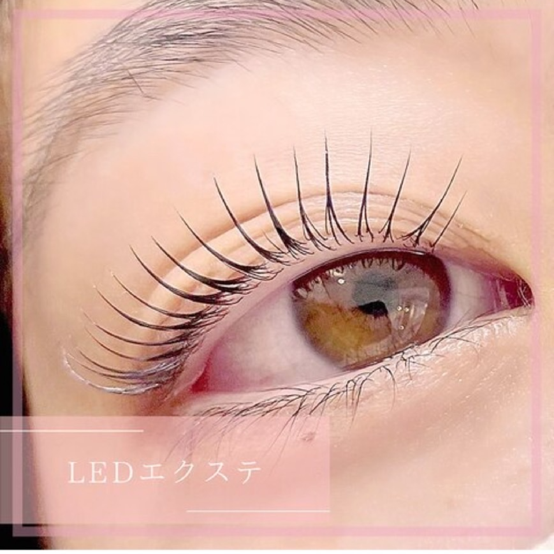 【高持続LED】フラットラッシュ100本+コーティング付き ¥6000