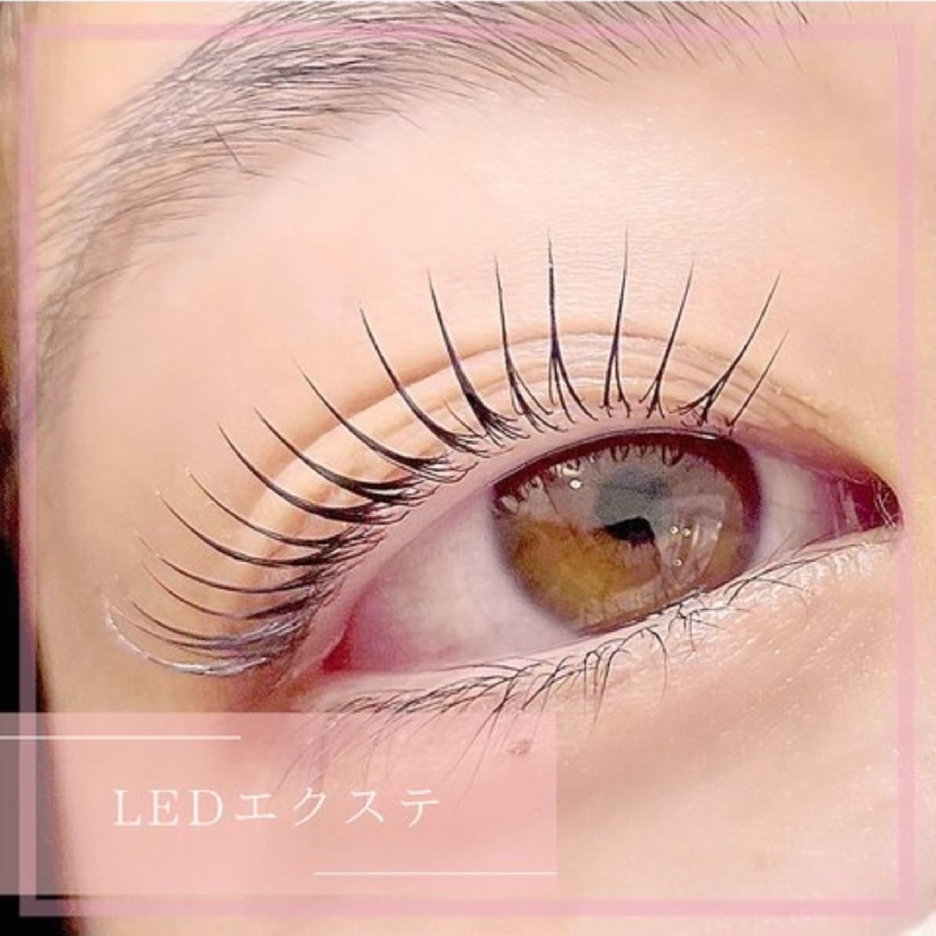 【高持続LED】フラットラッシュ120本＋コーティング付 ¥6500