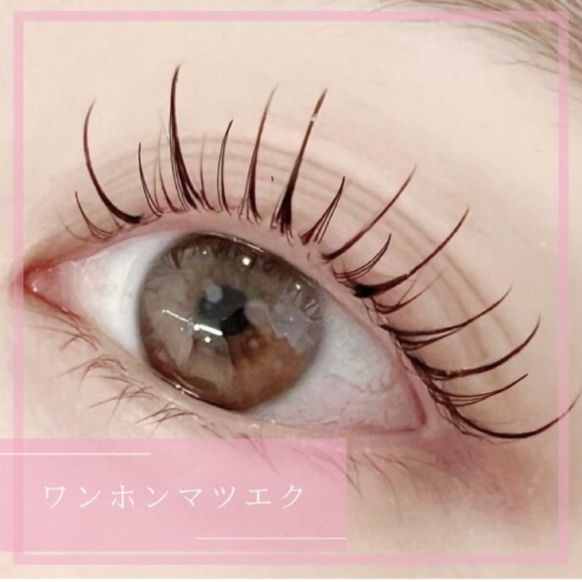 【高持続LED】束感ワンホンマツエク120本・束感コーティング付 ¥7300