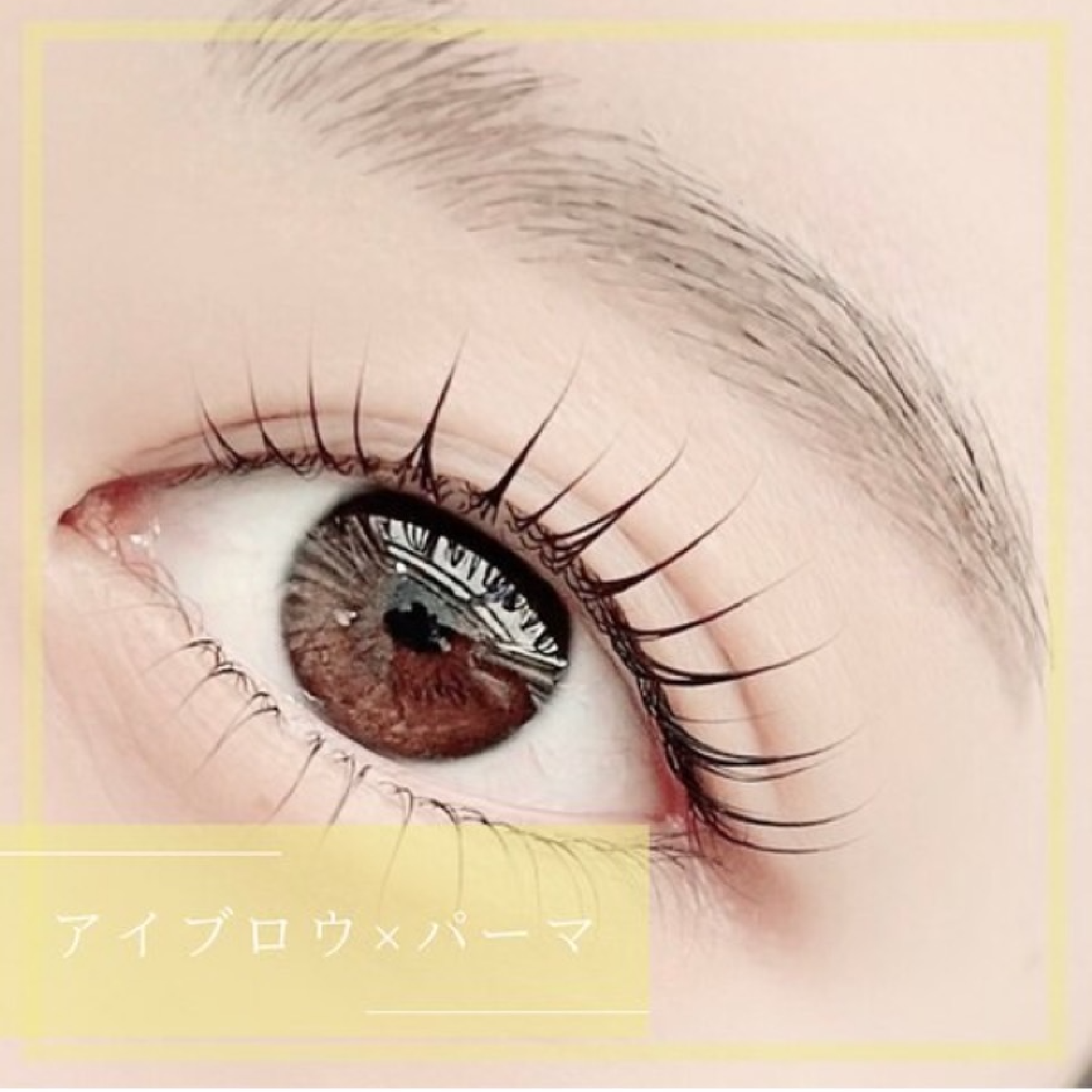 【パーマ×眉毛】パーマorパリジェンヌ+美眉wax（眉メイク付）¥8500