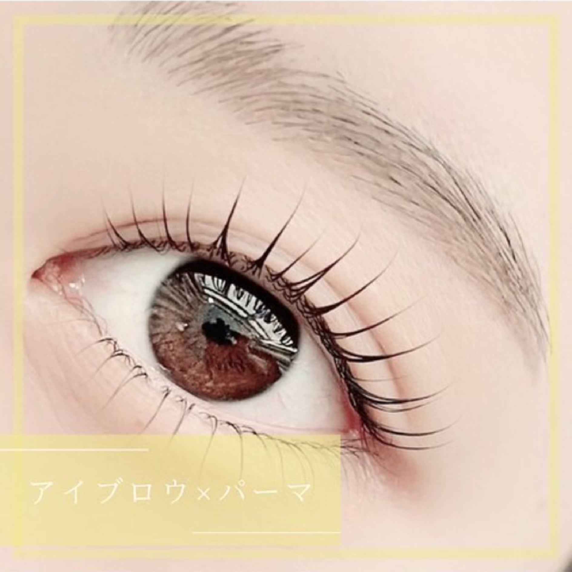 【１日完結!!目元完璧】上下パーマ＋美眉wax（眉毛メイク付）¥10500