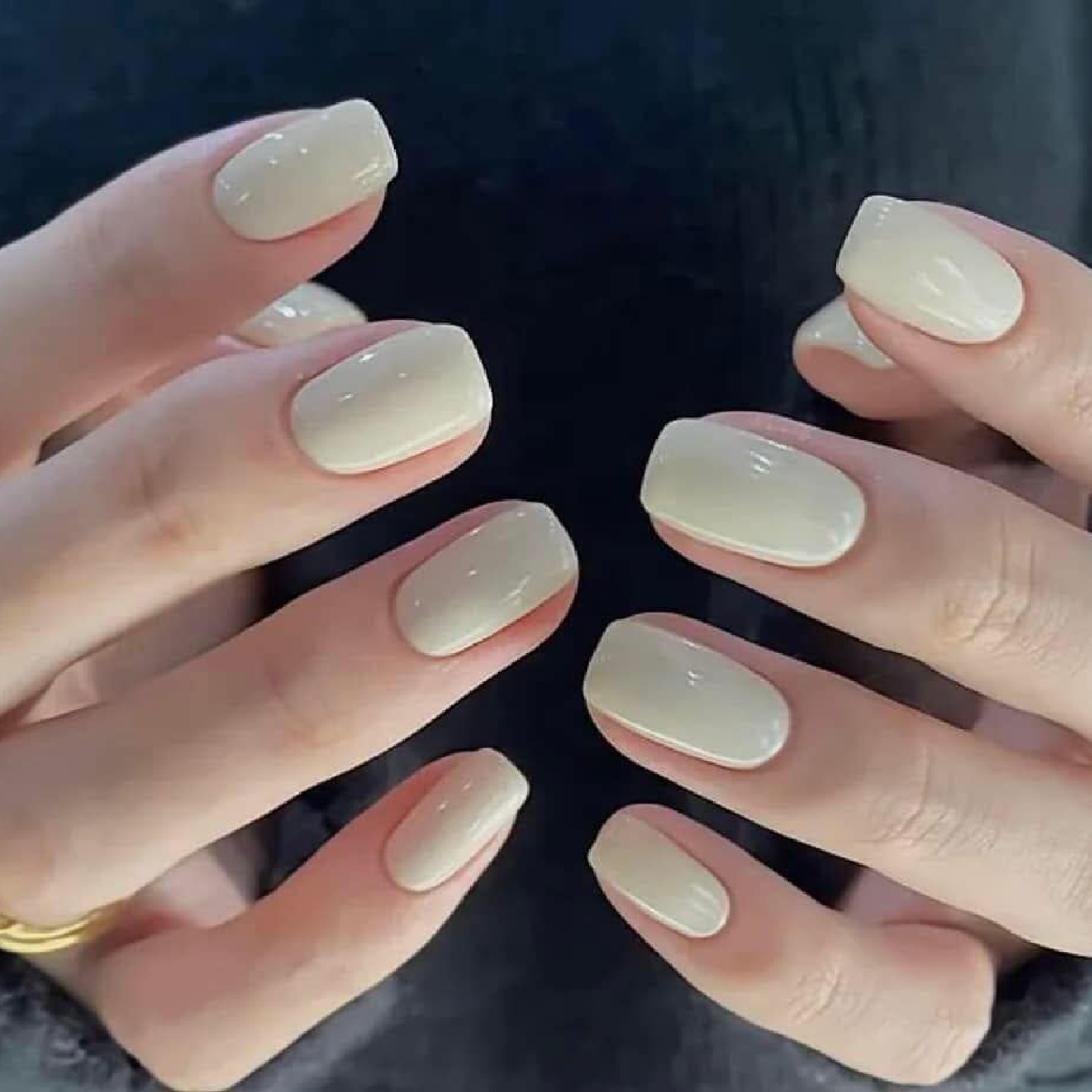 ワンカラー、シンプル ¥4000