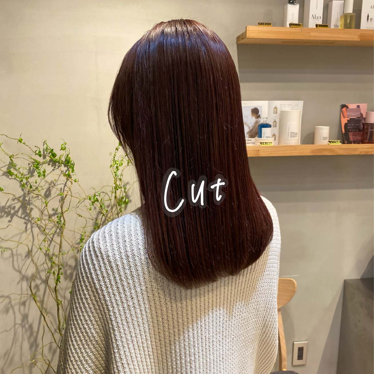カット+トリートメント