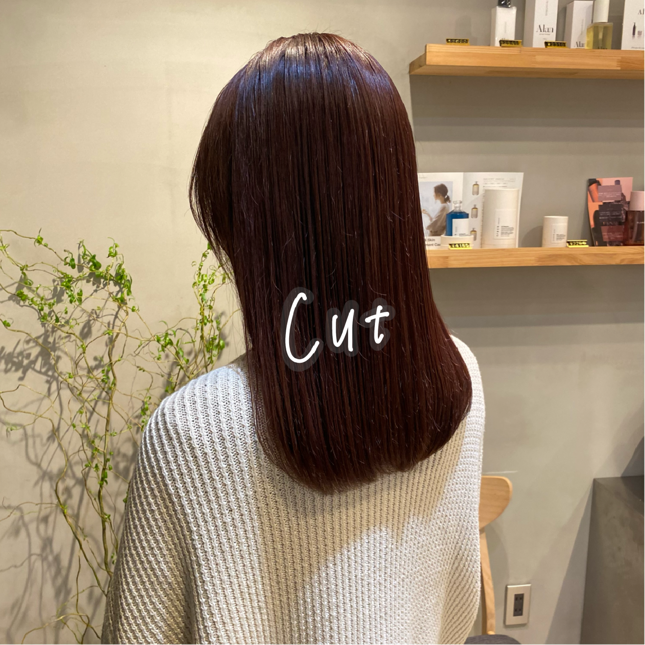 カット+トリートメント