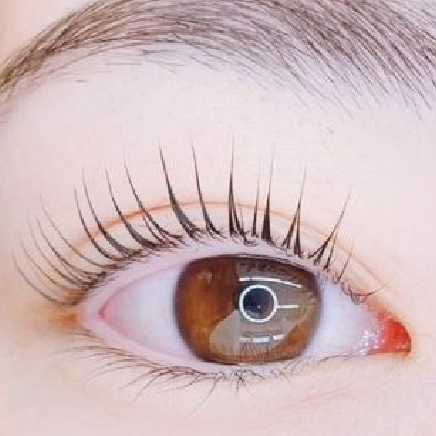 【限定価格】¥6800→¥5980次世代まつげパーマ★パリジェンヌラッシュリフト