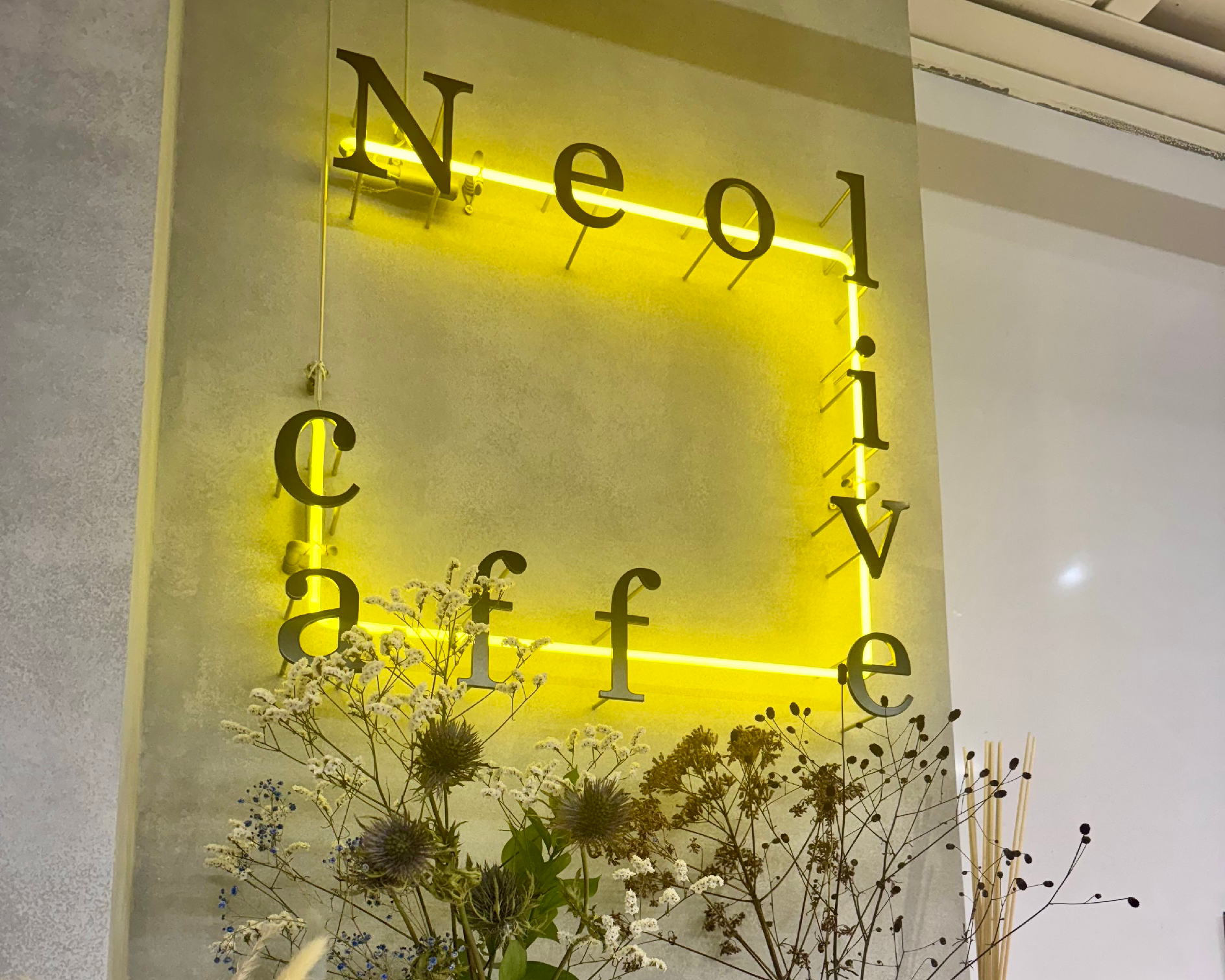 Neolive caff