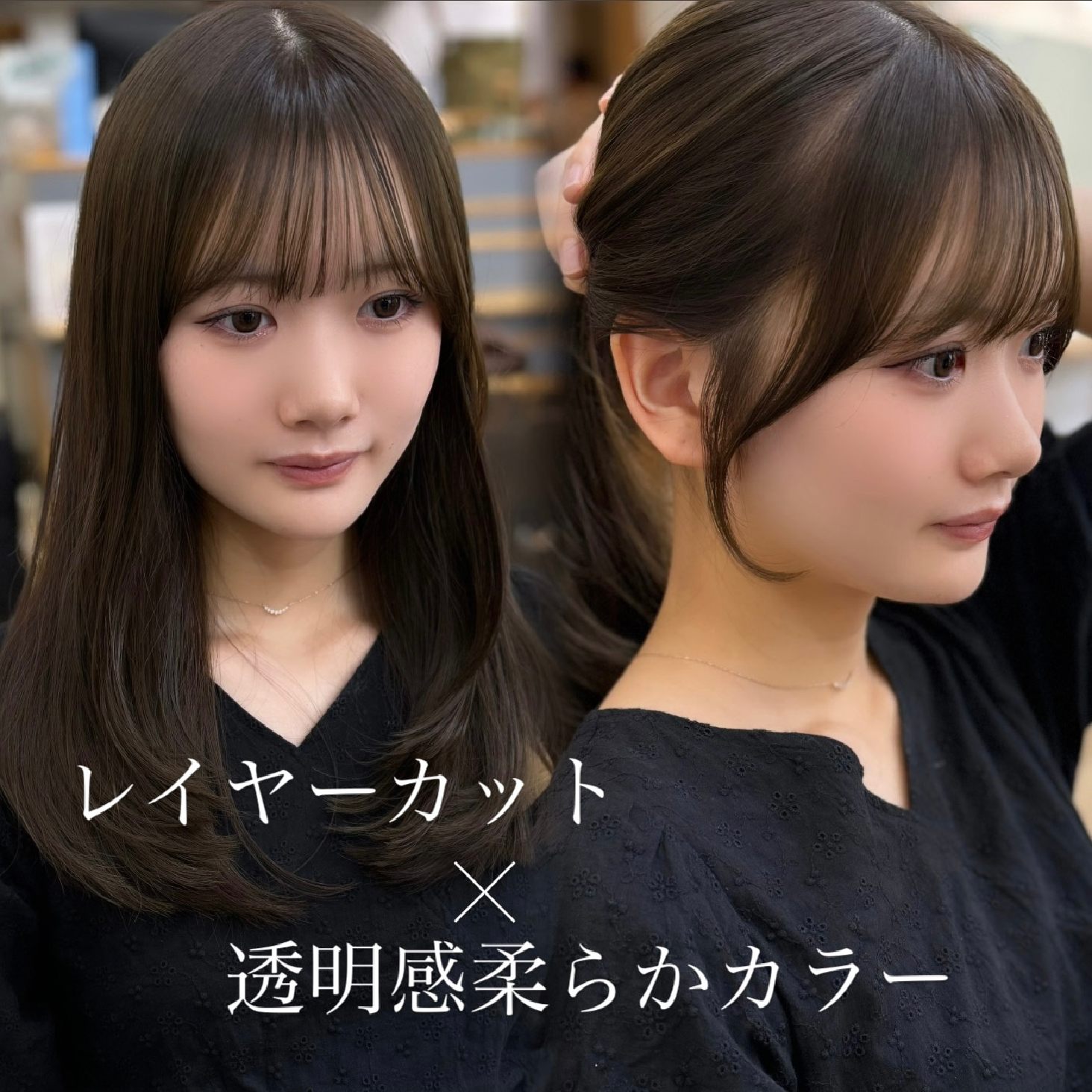 【🤍人気No.1🤍】カット＋美髪カラー＋オージュアトリートメント 🌿🫧